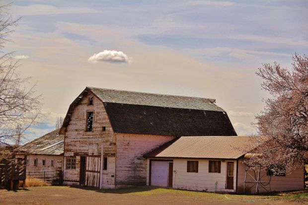 Barn